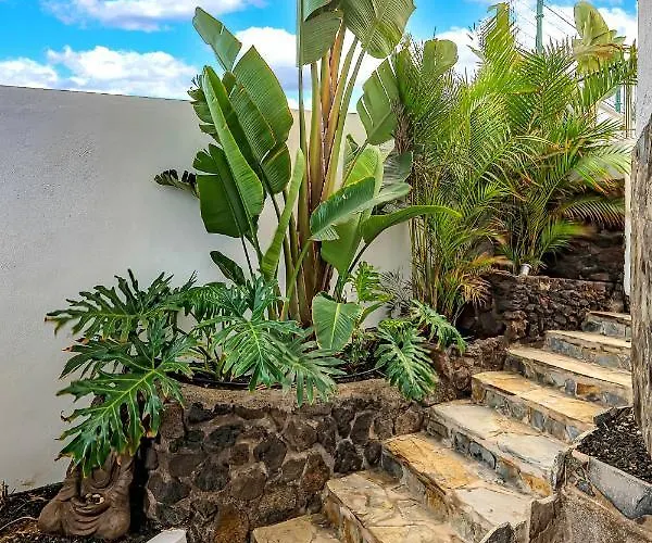 Apartamento Pámpano Ocean View Puerto de la Cruz (Tenerife)